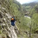 Zipline per galline