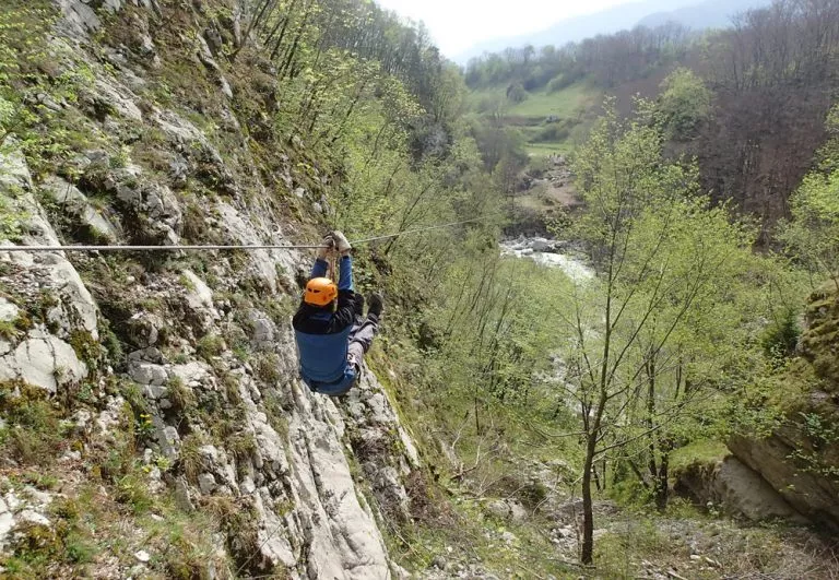 Zipline per galline