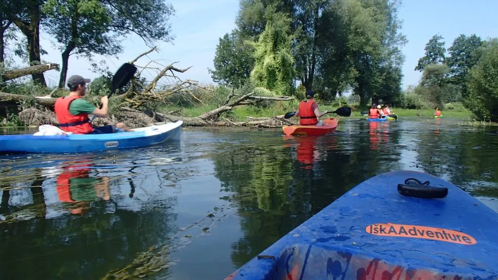 River ljubljanica kayak