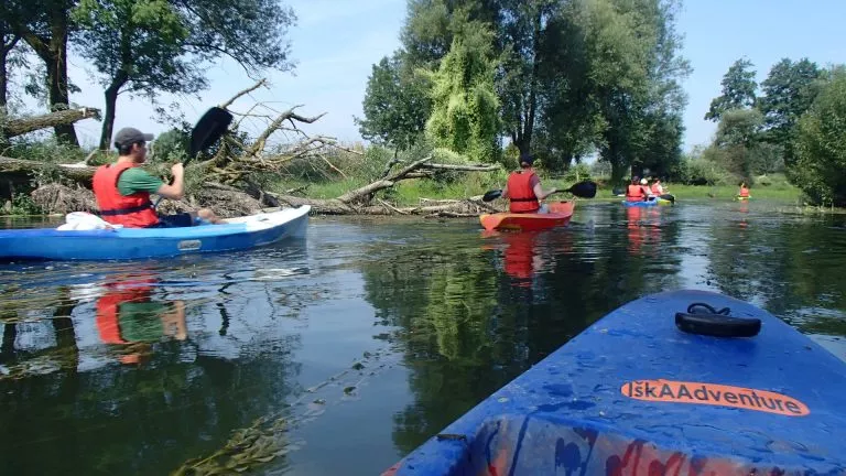 Kajak na reki ljubljanici