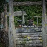 Stagljubljana paintball na prostem