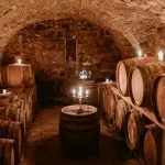 Wine tour goriska brda vipava istra kras